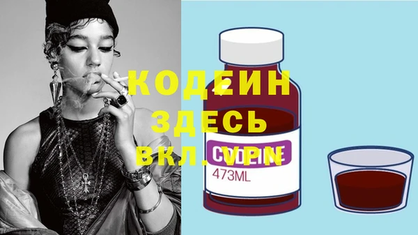 крисы Елабуга