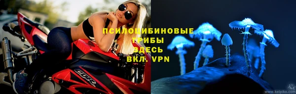 крисы Елабуга