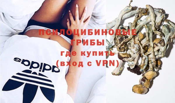 бошки Ельня
