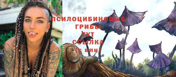 крисы Елабуга