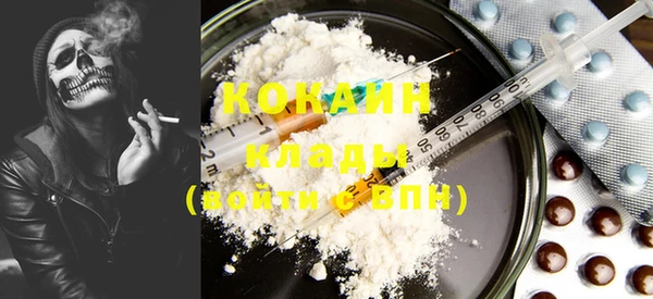 крисы Елабуга