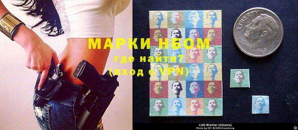 бошки Ельня