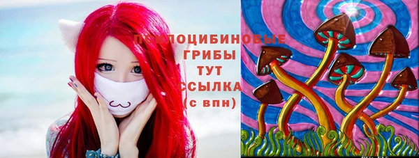 крисы Елабуга