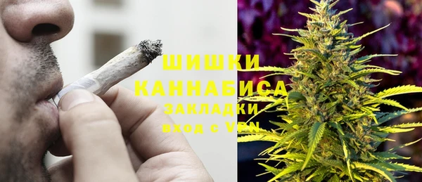 бошки Ельня