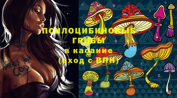 бошки Ельня