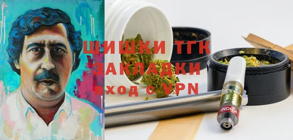крисы Елабуга