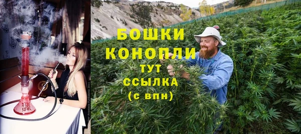 бошки Ельня